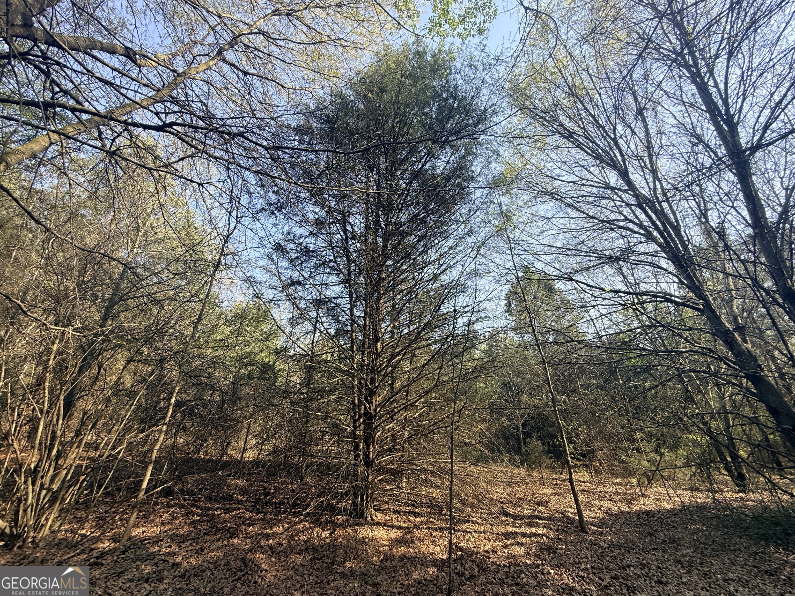 3065 Sycamore Road Commerce, GA 30530 - Photo 17 of 29