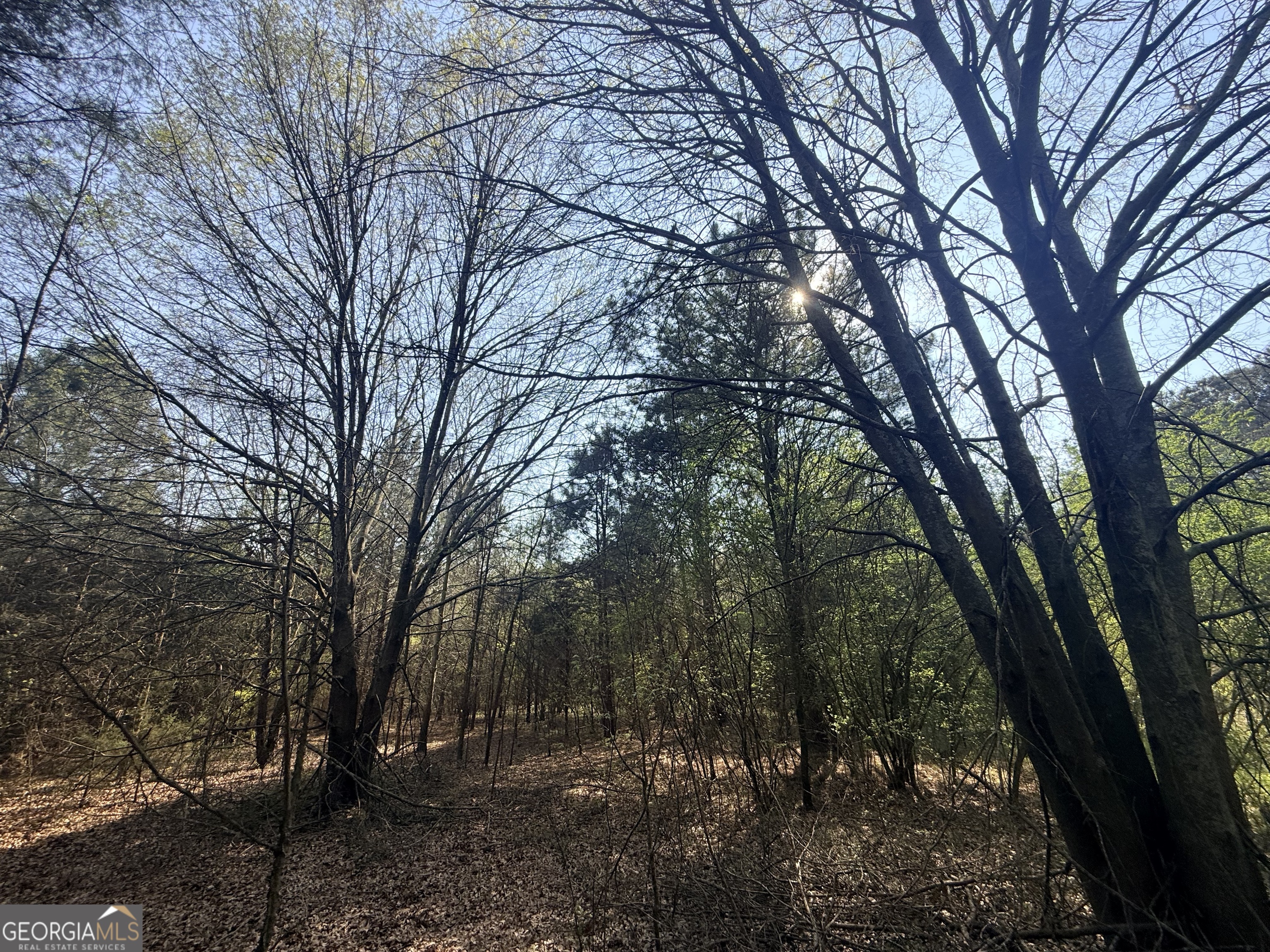 3065 Sycamore Road Commerce, GA 30530 - Photo 18 of 29