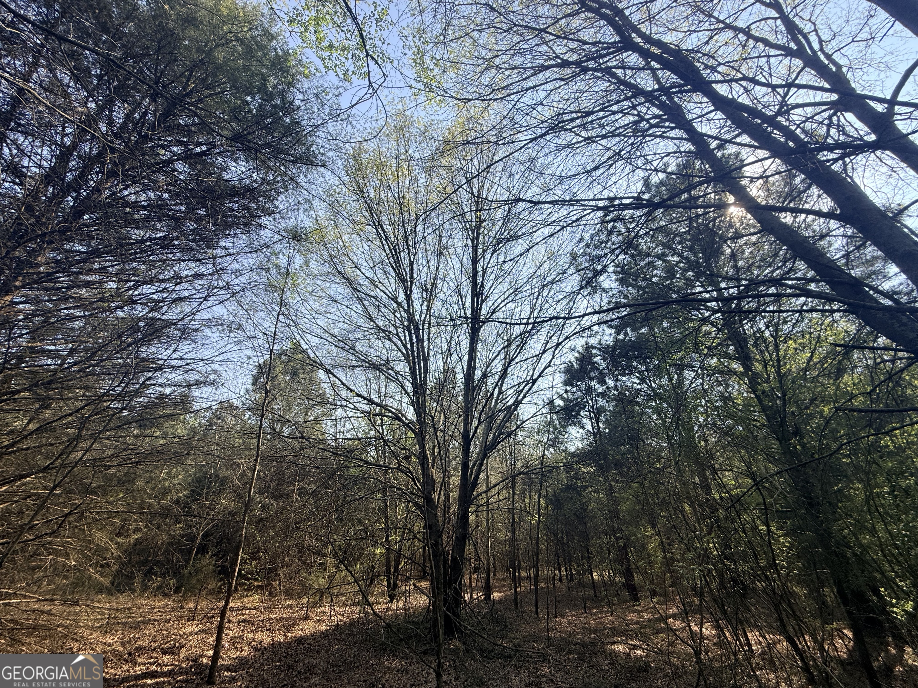 3065 Sycamore Road Commerce, GA 30530 - Photo 19 of 29