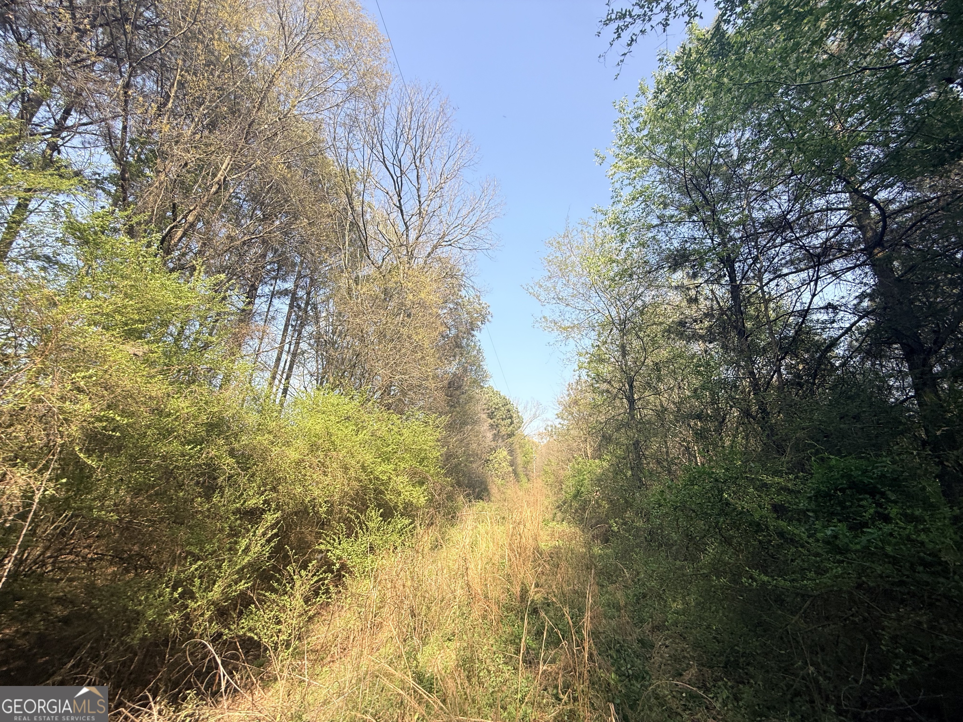 3065 Sycamore Road Commerce, GA 30530 - Photo 20 of 29