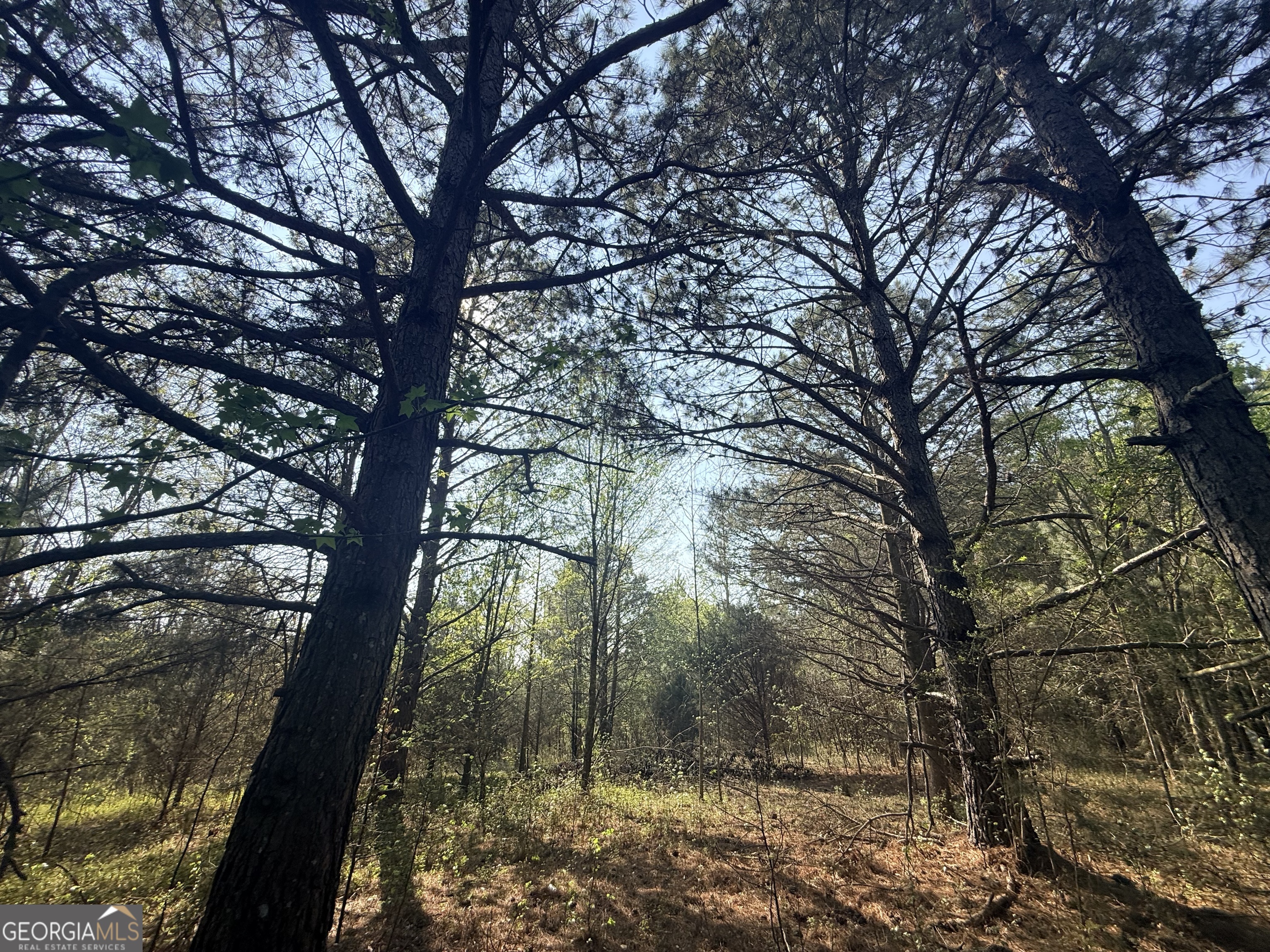 3065 Sycamore Road Commerce, GA 30530 - Photo 21 of 29