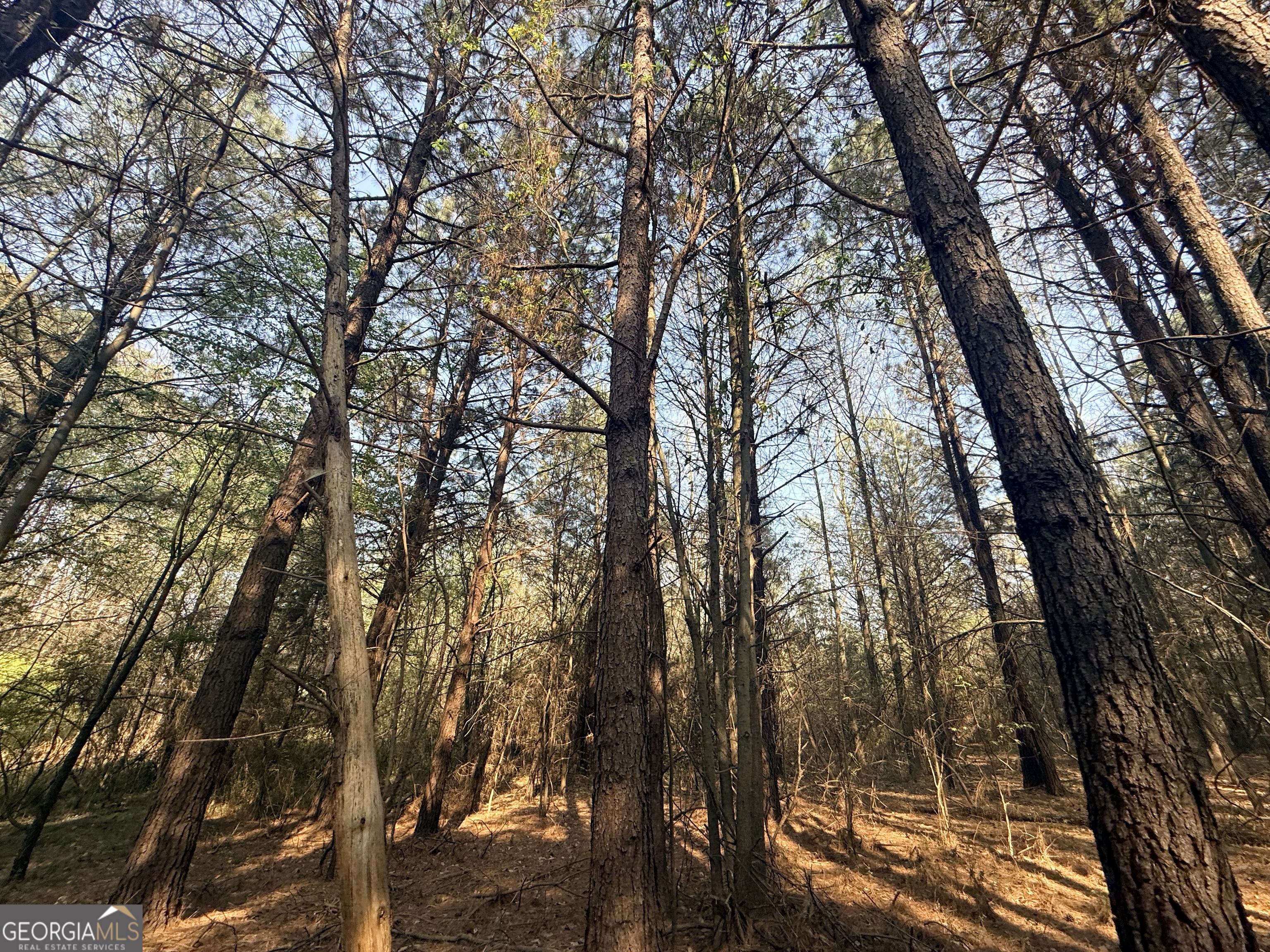 3065 Sycamore Road Commerce, GA 30530 - Photo 22 of 29