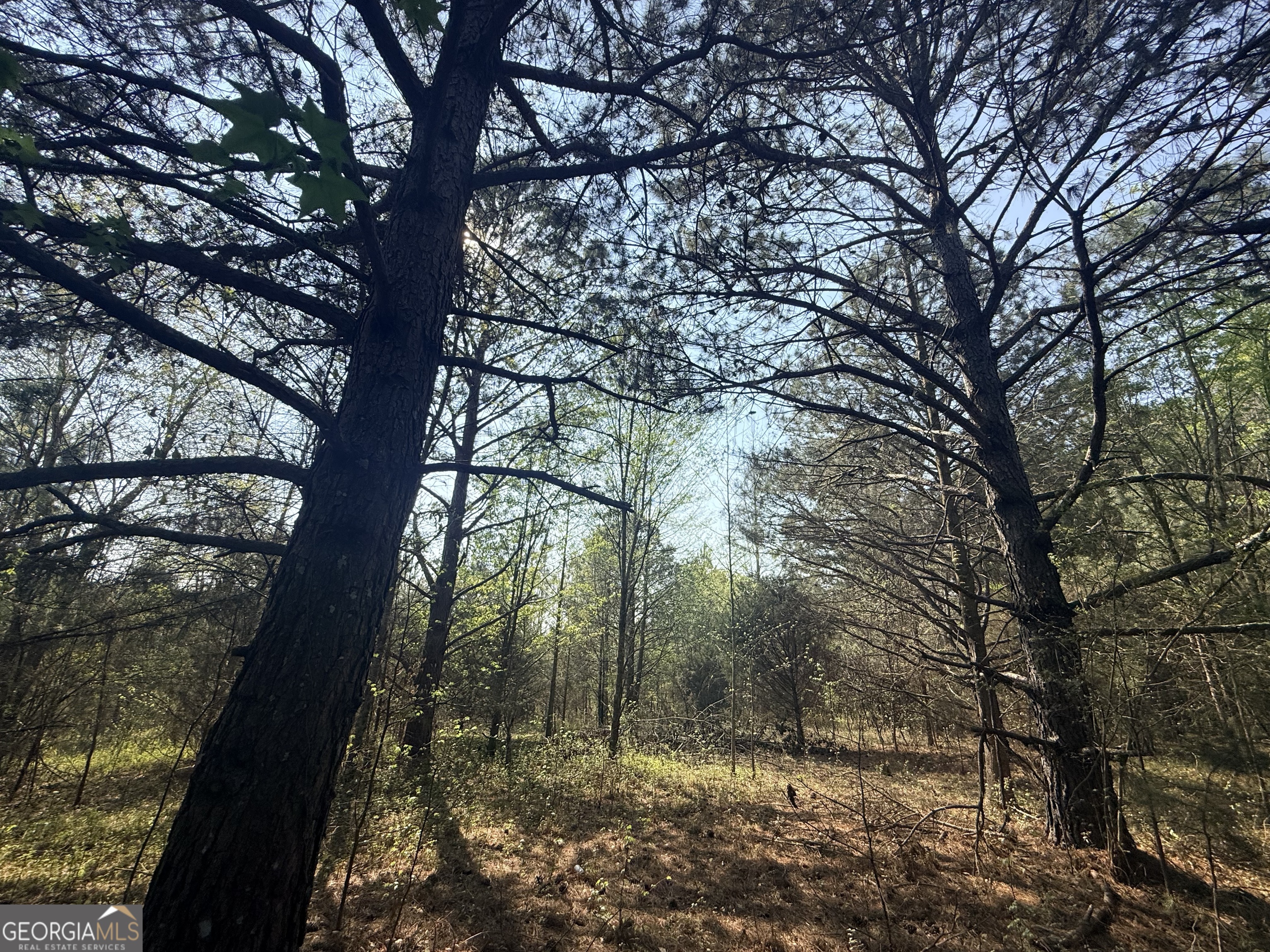 3065 Sycamore Road Commerce, GA 30530 - Photo 28 of 29