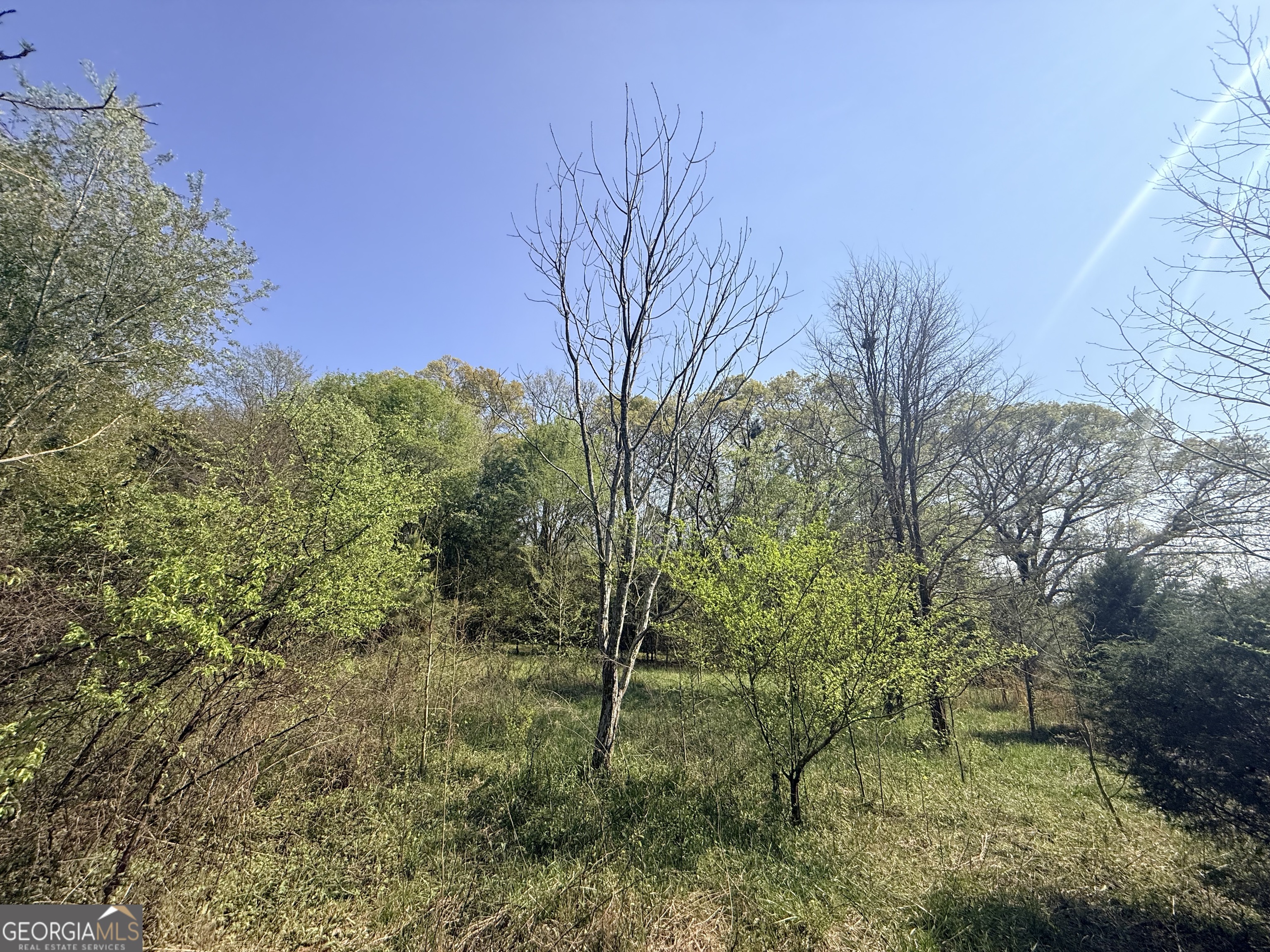 3065 Sycamore Road Commerce, GA 30530 - Photo 29 of 29