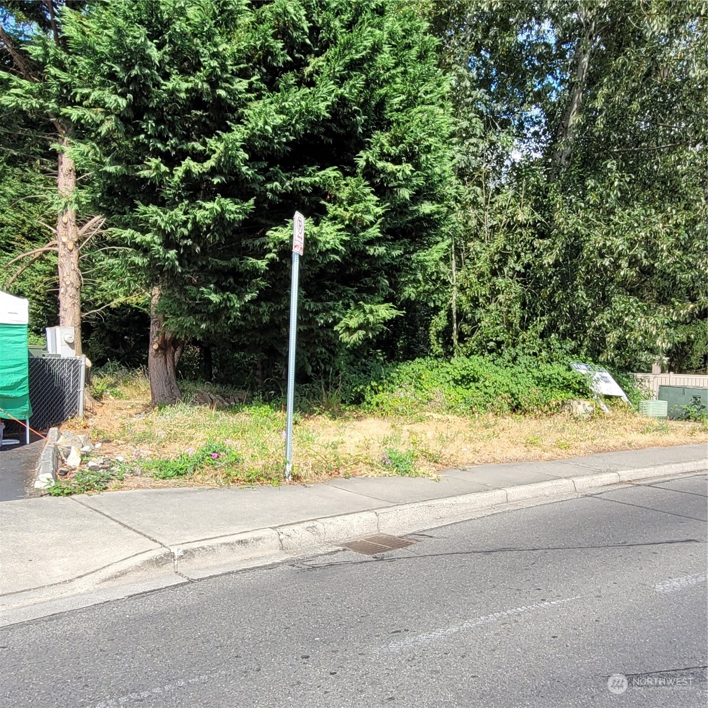 1620 Northeast 30th Street Renton, WA 98056 - Photo 3 of 19