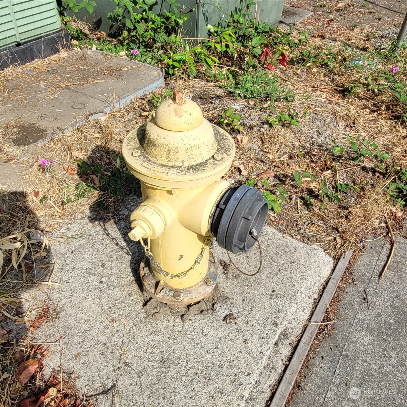 1620 Northeast 30th Street Renton, WA 98056 - Photo 6 of 19 a close view of of toilet