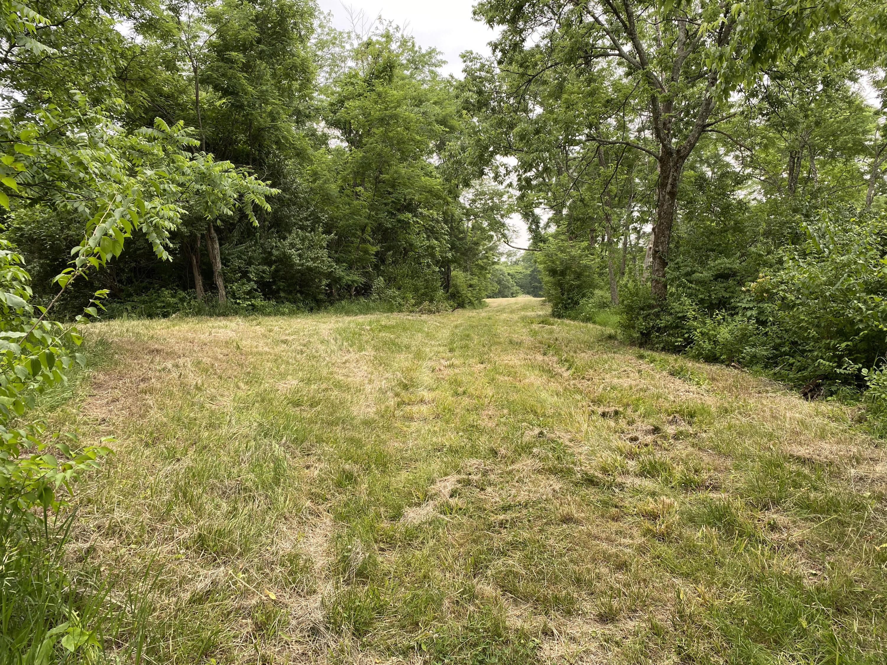 1100 Fairview Road Williamstown, KY 41097 - Photo 30 of 74 unnamed (6)