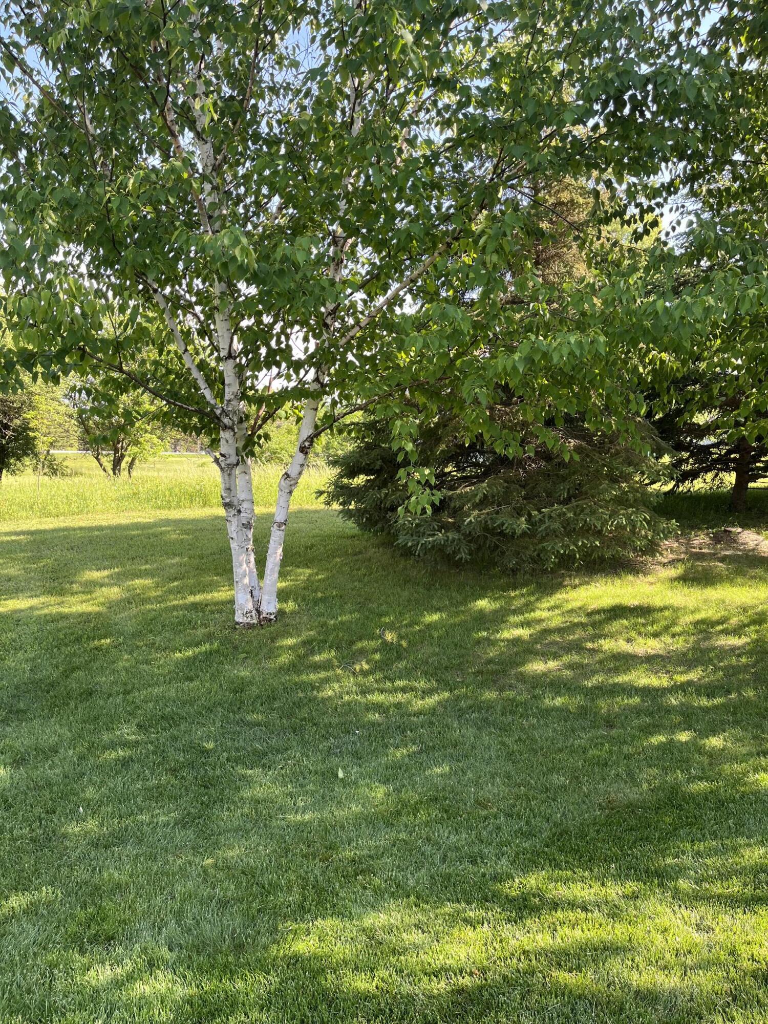 11105 Meadow Ridge Road Whitelaw, WI 54247 - Photo 99 of 126 Backyard View 2