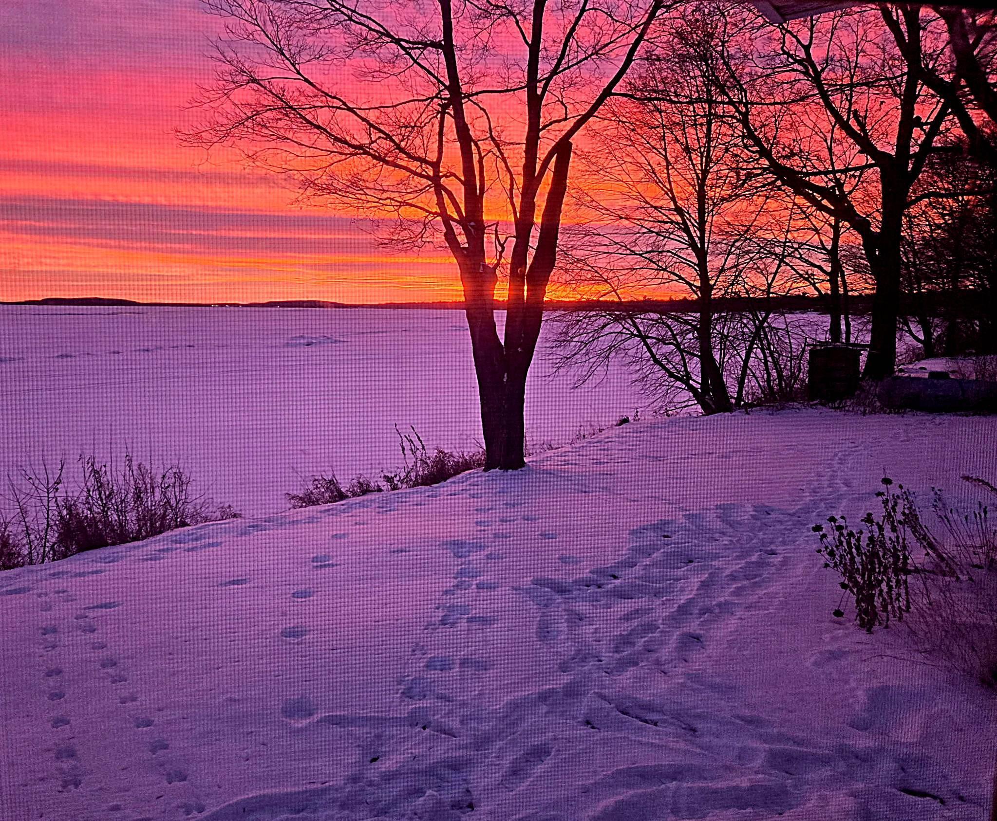 44461 Conifer Street Aitkin, MN 56431 - Photo 34 of 38