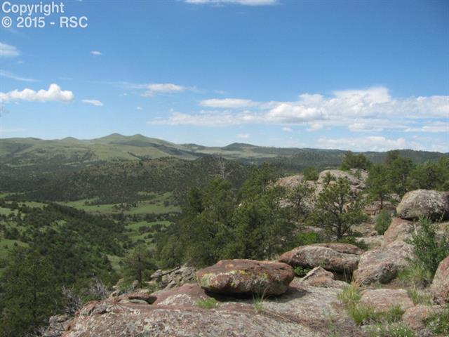 519 Cheyenne Road Florissant, CO 80816 - Photo 8 of 14