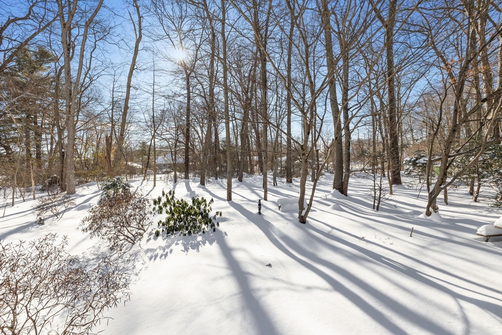 16 Grove Square, Unit 16 Randolph, MA 02368 - Photo 16 of 19