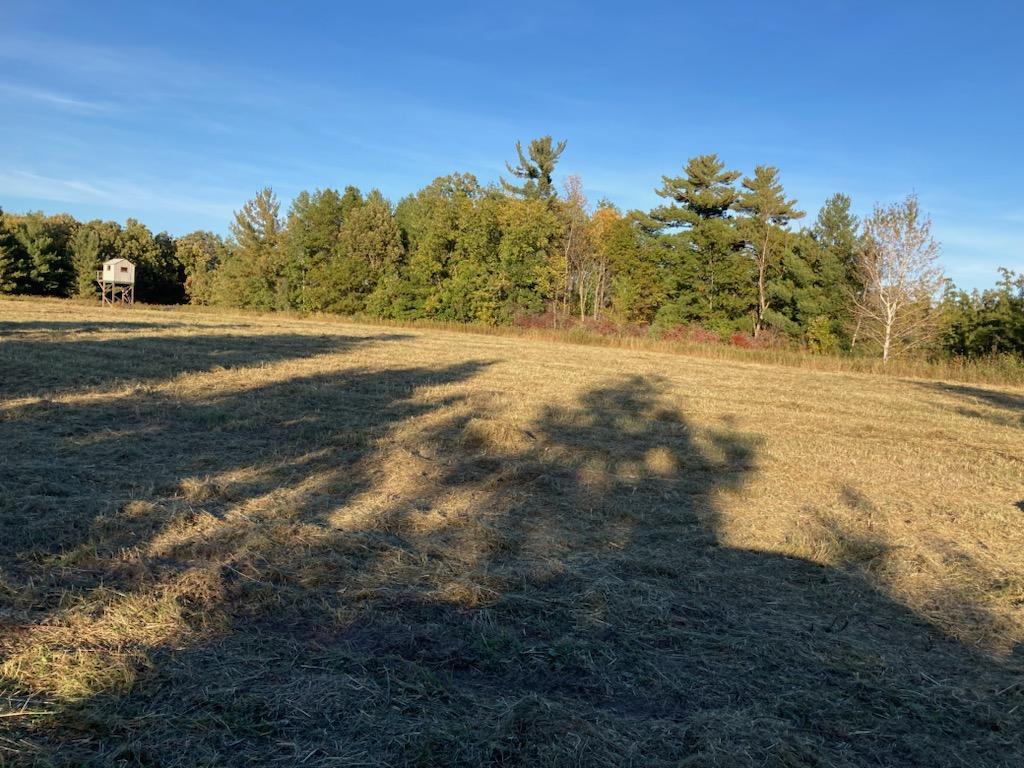 Tbd Hummingbird Road Braham, MN 55006 - Photo 11 of 23