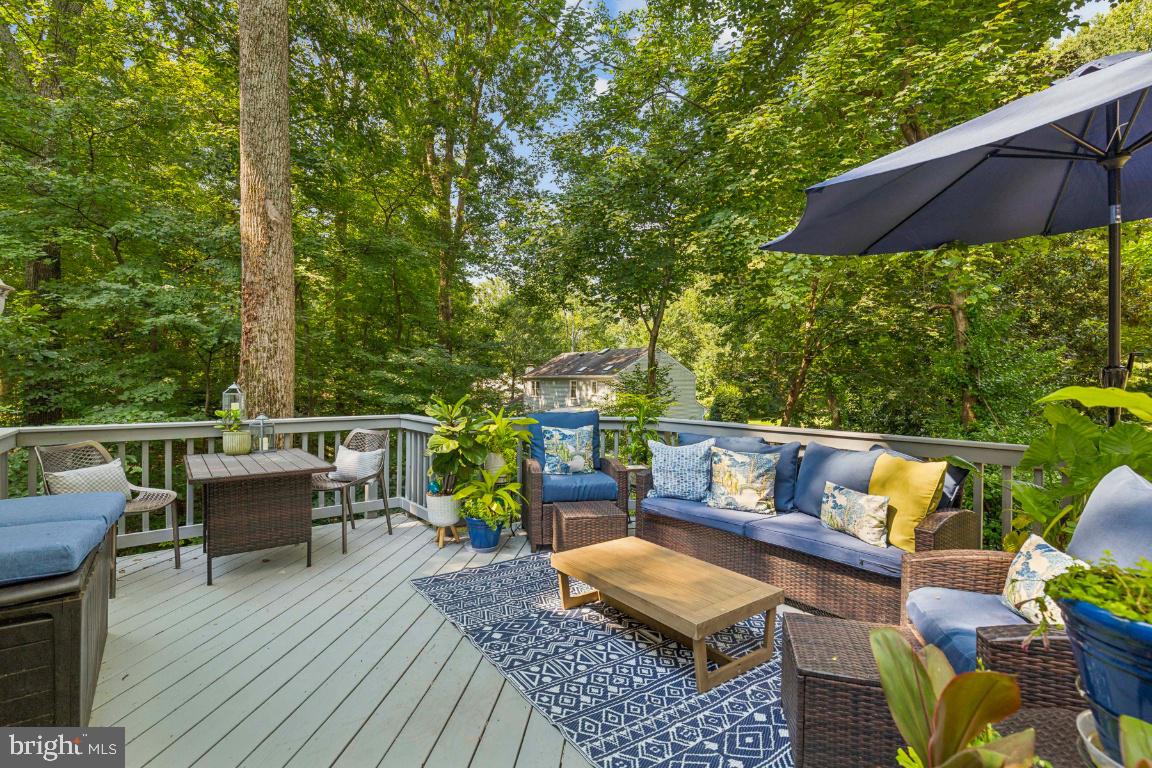 5020 Pheasant Ridge Road Fairfax, VA 22030 - Photo 25 of 59 Enjoy evenings with friends