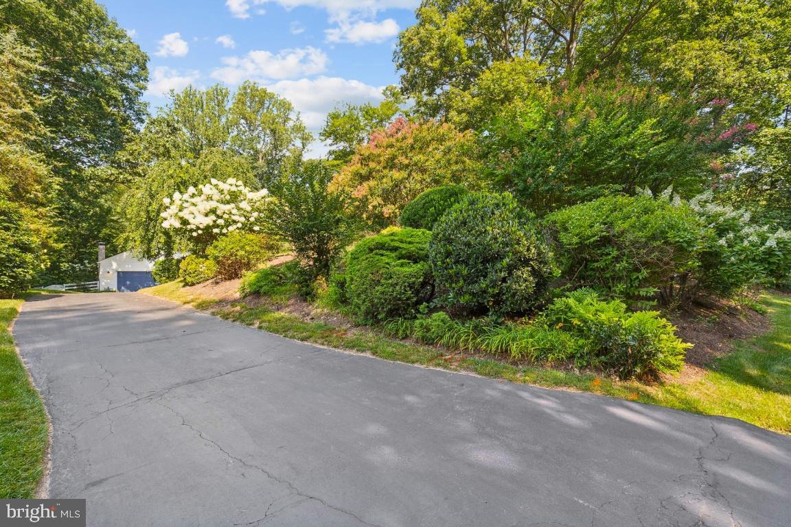 5020 Pheasant Ridge Road Fairfax, VA 22030 - Photo 48 of 59 Long private driveway with lush landscaping
