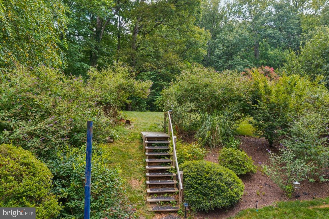 5020 Pheasant Ridge Road Fairfax, VA 22030 - Photo 50 of 59 Charming stairs to front yard