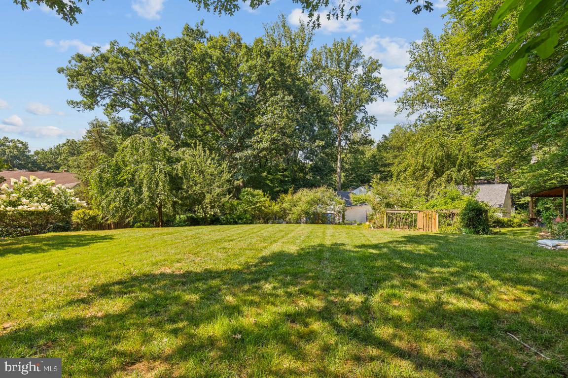 5020 Pheasant Ridge Road Fairfax, VA 22030 - Photo 52 of 59 Open front yard