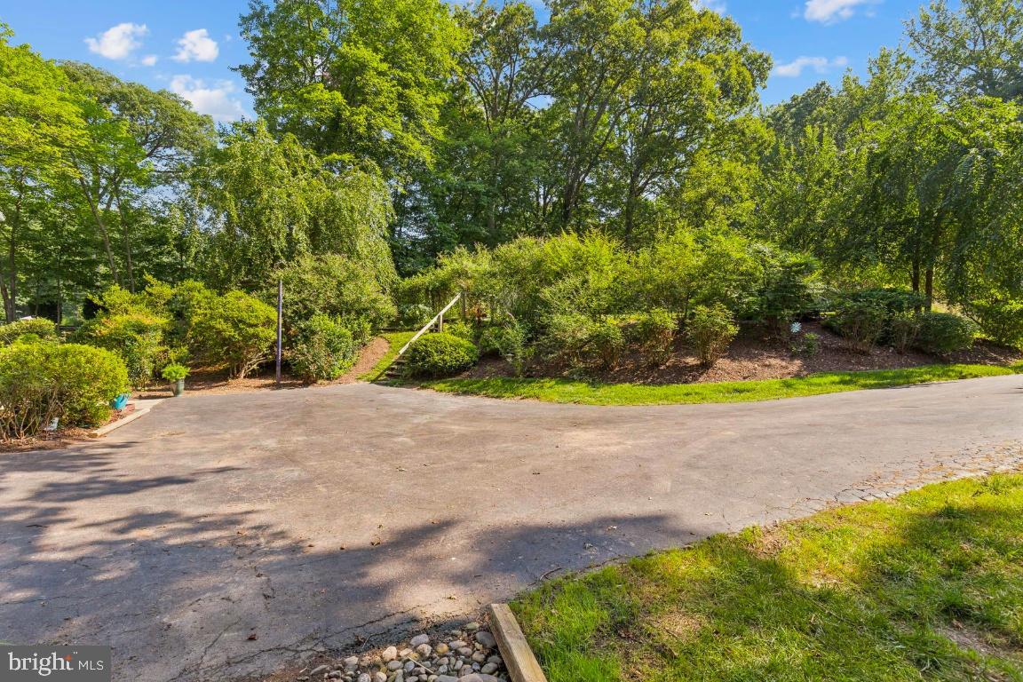 5020 Pheasant Ridge Road Fairfax, VA 22030 - Photo 54 of 59 View from side yard