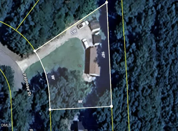 a view of a dry yard with large trees