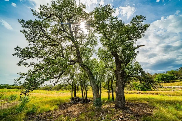 $110,000 | 326 Blue Oak Trail, Harper, TX 78631