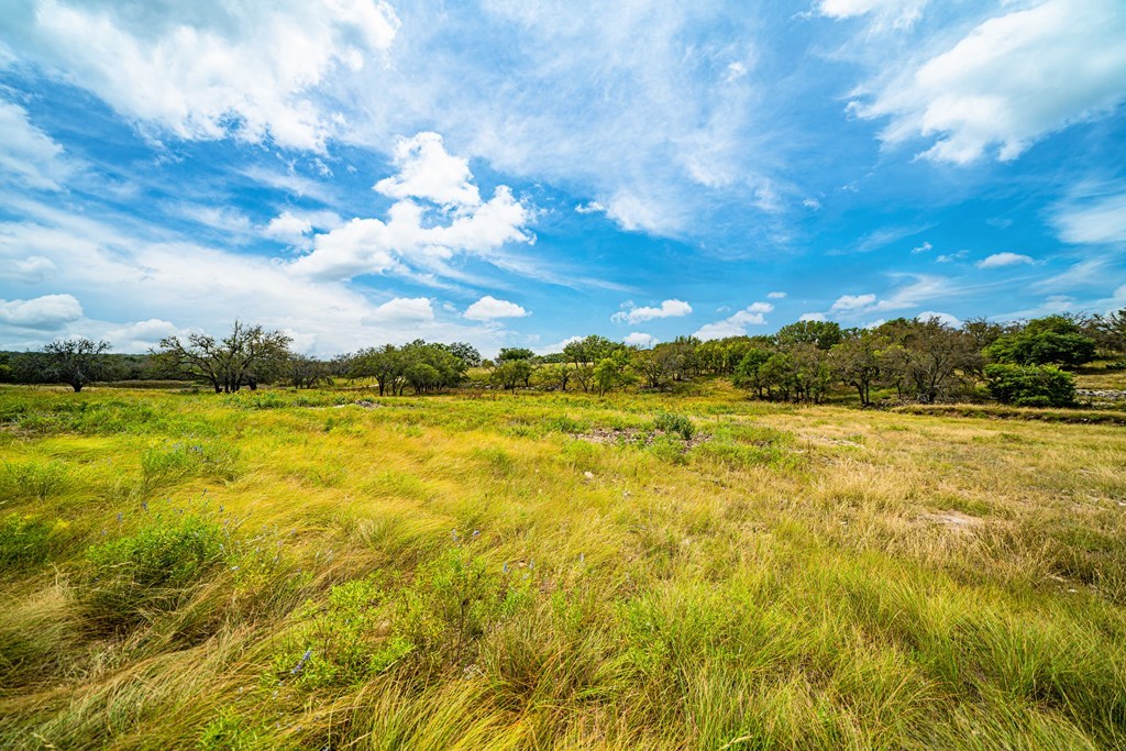 326 Blue Oak Trail Harper, TX 78631 - Photo 6 of 15