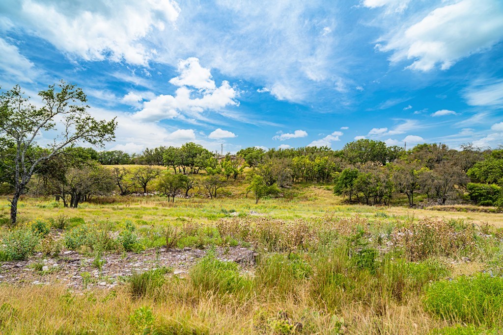 326 Blue Oak Trail Harper, TX 78631 - Photo 10 of 15