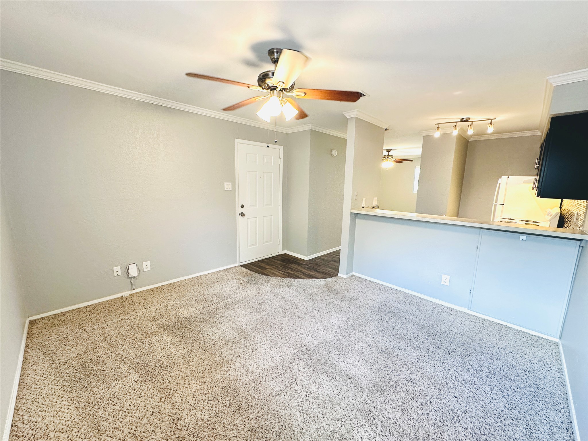3702 South 2nd Street, Unit 219 Austin, TX 78704 - Photo 5 of 11 wooden floor in an empty room with a window