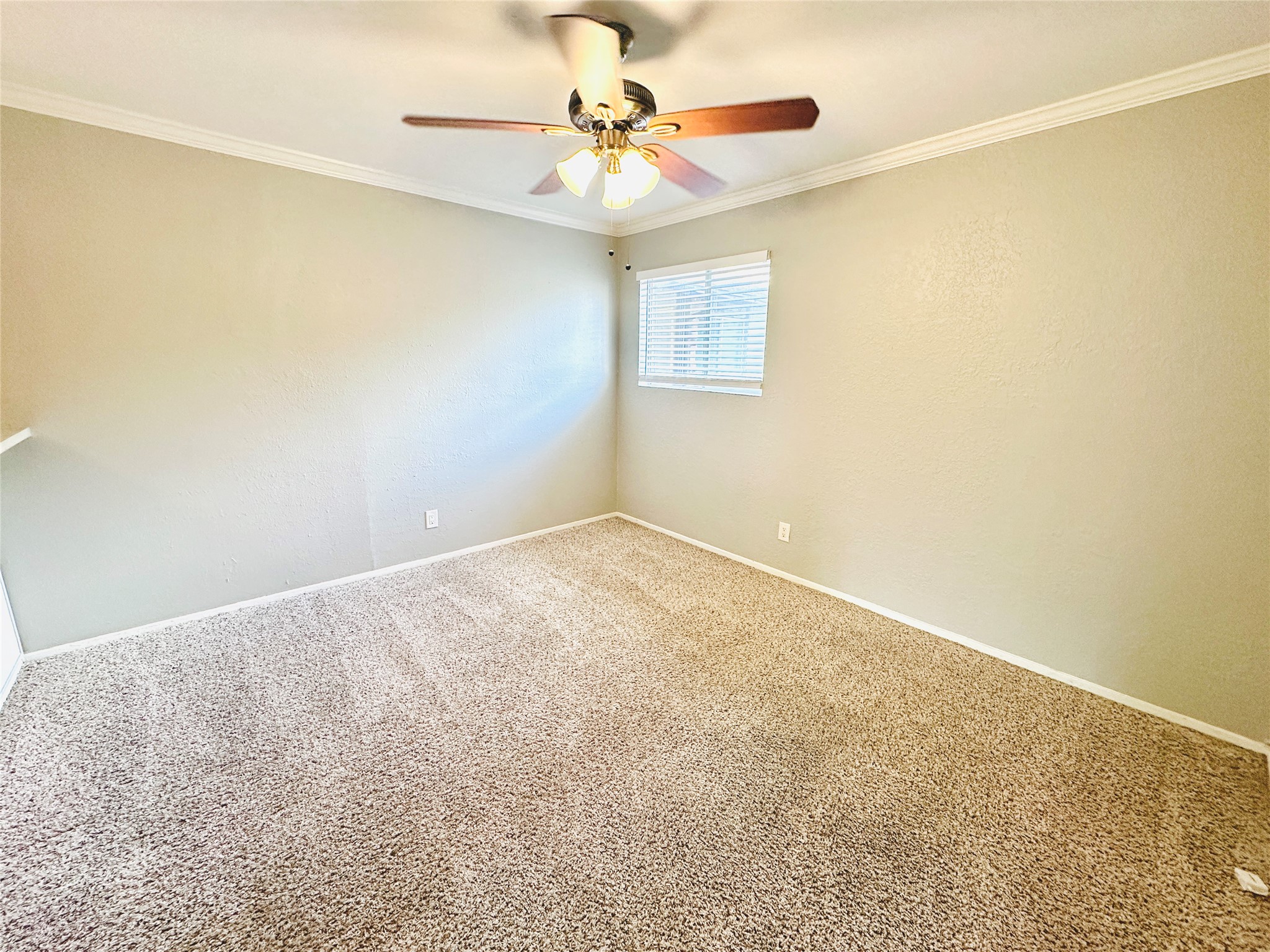 3702 South 2nd Street, Unit 219 Austin, TX 78704 - Photo 8 of 11 a view of a window in a room