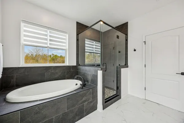 a view of a yard with a tree