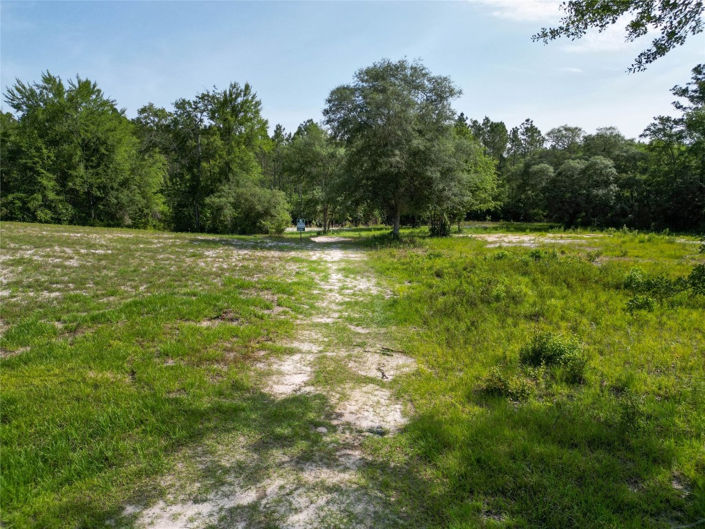 15466 Bullock Bluff Road Bryceville, FL 32009 - Photo 53 of 54 HOA Trail to St Marys River