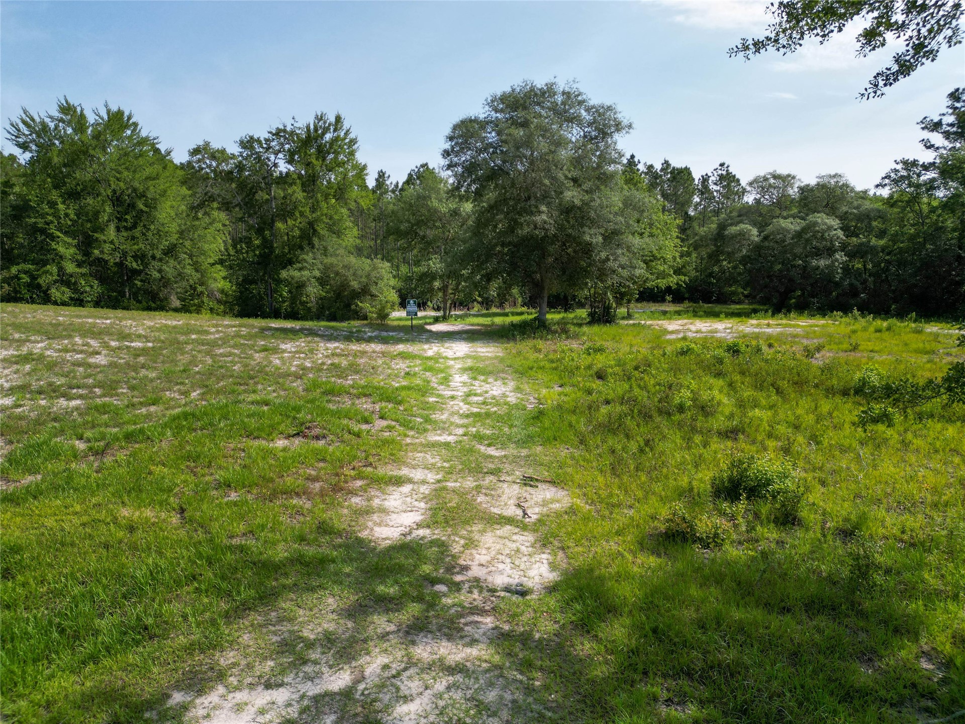 15466 Bullock Bluff Road Bryceville, FL 32009 - Photo 53 of 54 a view of a yard with a trees in the background
