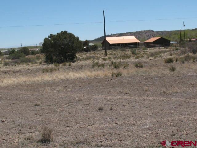 a view of a dry yard