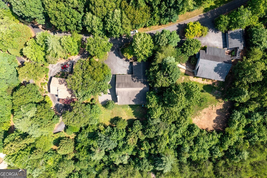 847 Scarlett Way Young Harris, GA 30582 - Photo 34 of 48