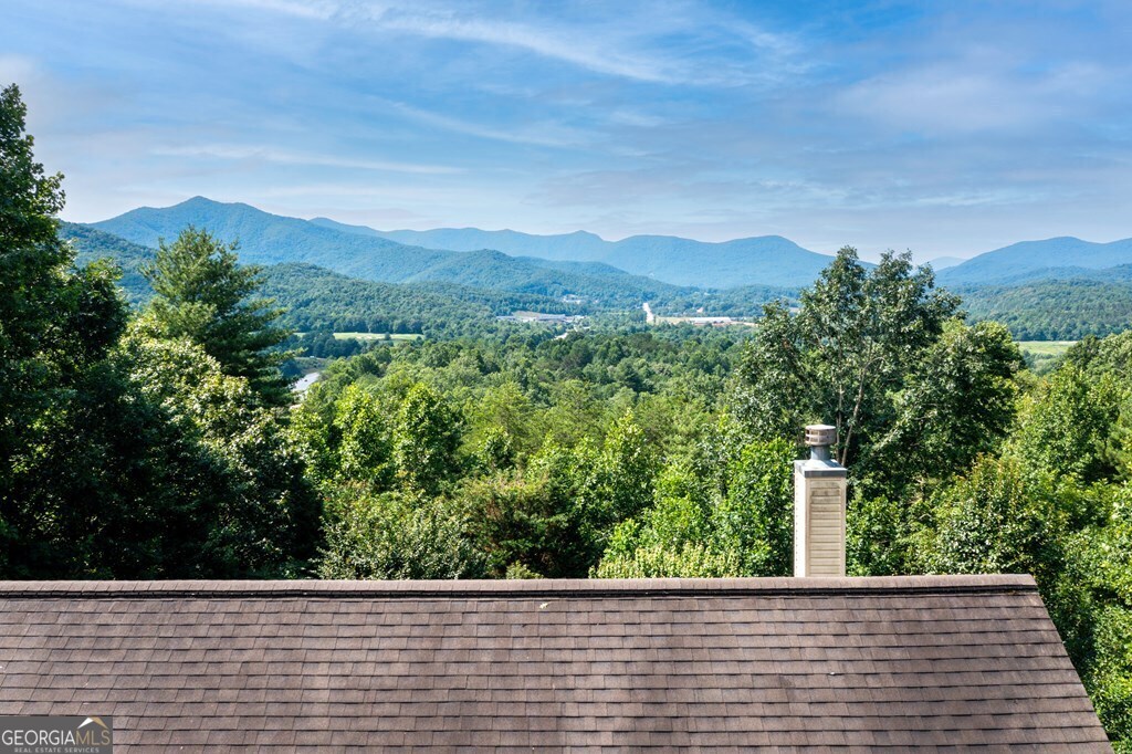 847 Scarlett Way Young Harris, GA 30582 - Photo 45 of 48