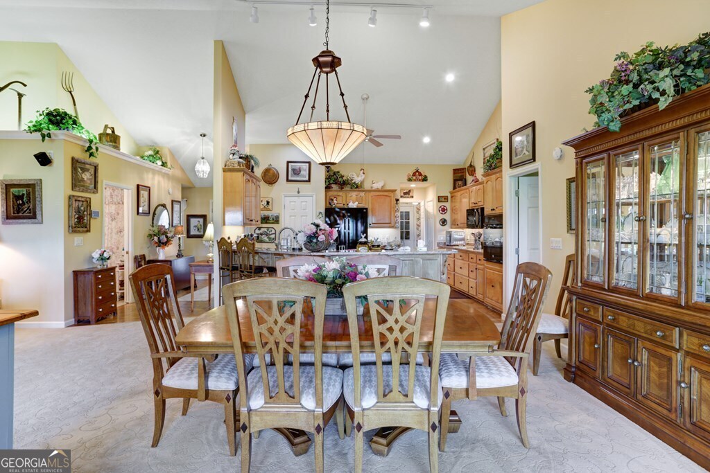 847 Scarlett Way Young Harris, GA 30582 - Photo 7 of 48