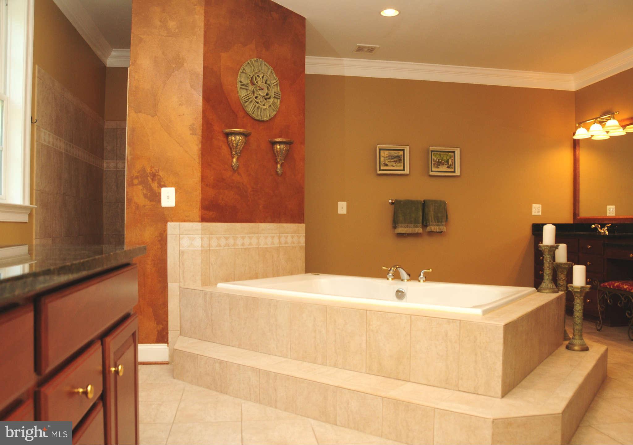 19123 Stream Crossing Court Leesburg, VA 20176 - Photo 12 of 30 Sumptuous 2-person shower and soaking tub.