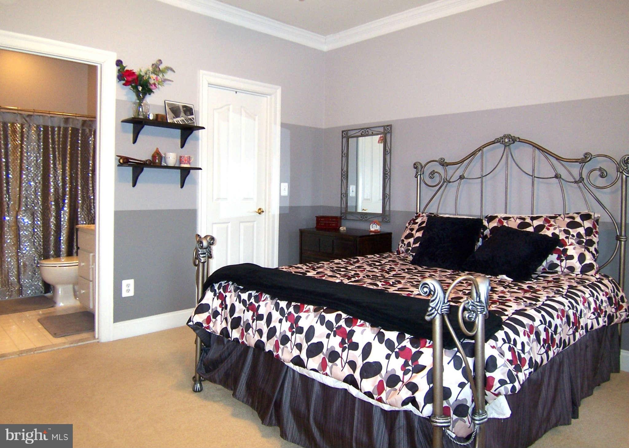 19123 Stream Crossing Court Leesburg, VA 20176 - Photo 13 of 30 Second Bedroom with private bath