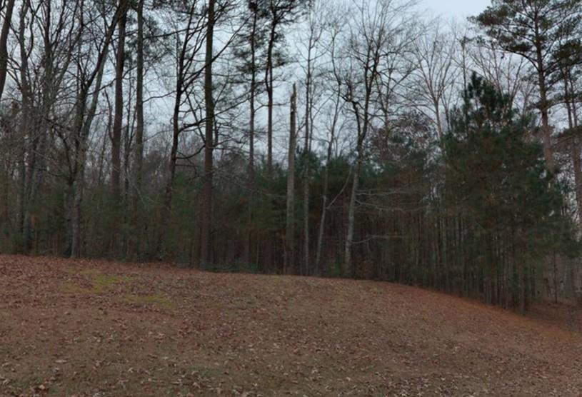 4798 Amsler Road Ellenwood, GA 30294 - Photo 1 of 1 View from Street