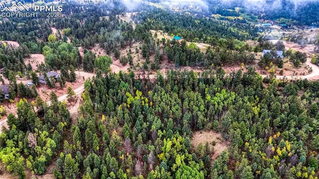 a view of river covered with trees