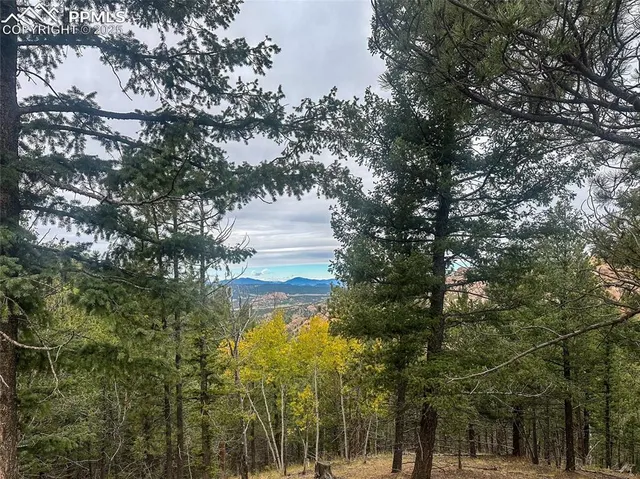 a view of a bunch of trees and bushes