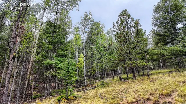 a view of a city with lush green forest