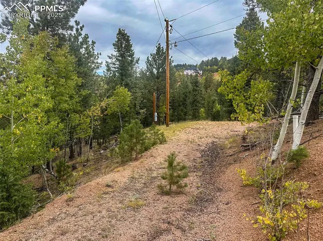 a view of a pathway with a yard