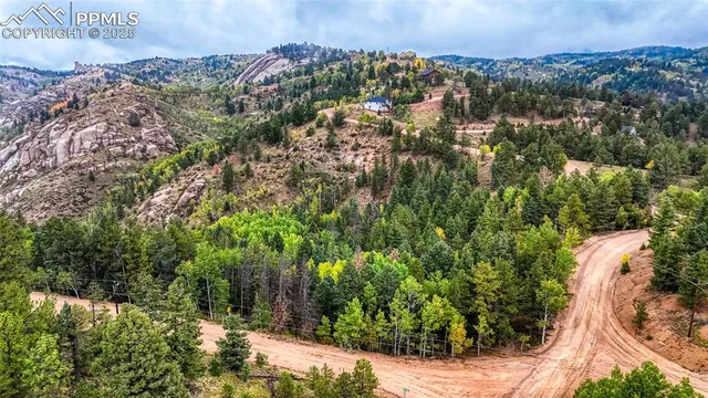 a view of a garden with plants