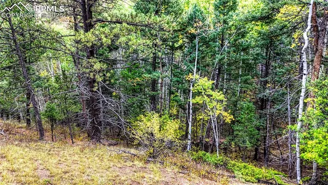 a view of yard with green space
