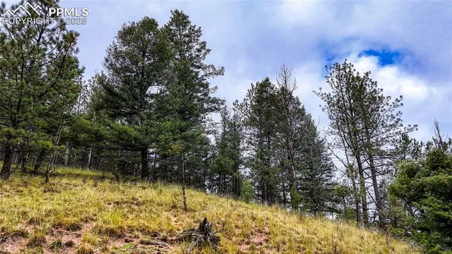 $45,000 | 599 Dandy Jim Drive, Cripple Creek, CO 80813