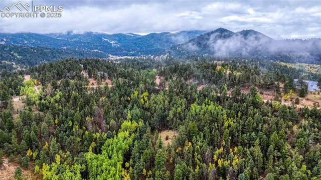 $45,000 | 599 Dandy Jim Drive, Cripple Creek, CO 80813