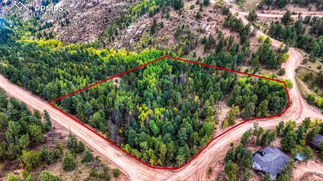 a view of a garden with plants