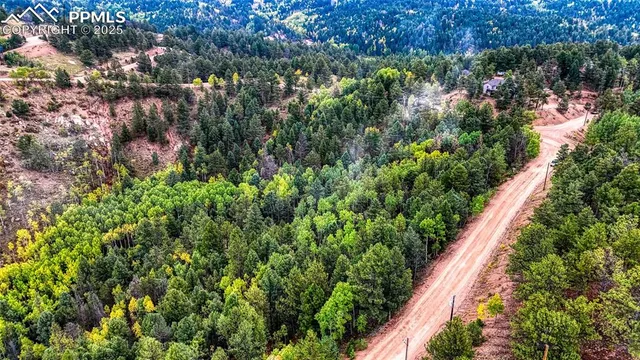 $45,000 | 599 Dandy Jim Drive, Cripple Creek, CO 80813