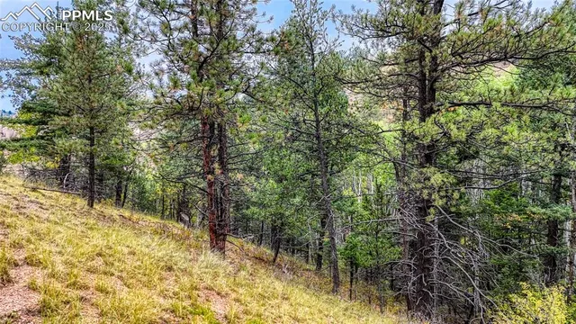 a view of mountains and valleys