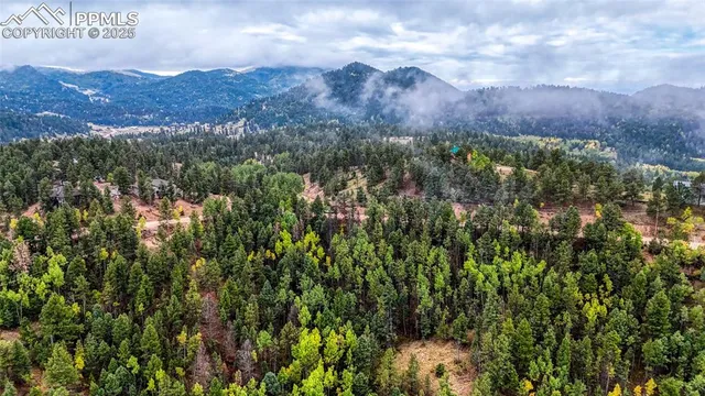 a view of a wooden bridge