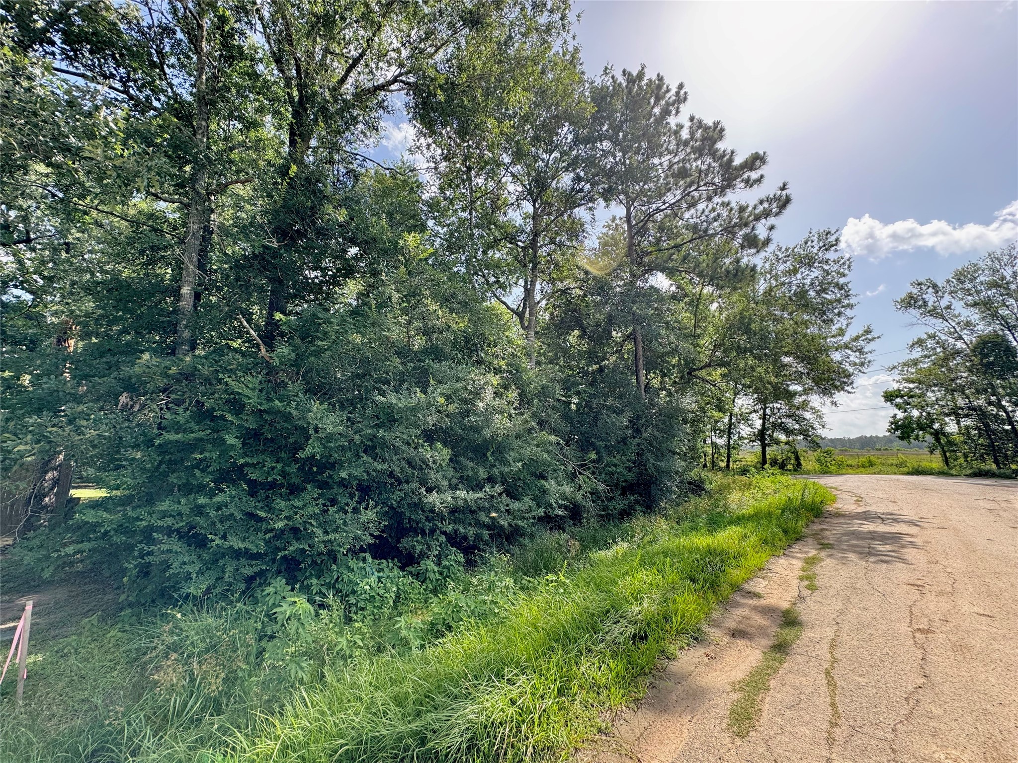 23585-23611 Flower Ridge Porter, TX 77365 - Photo 5 of 5 a view of a yard with plants and trees